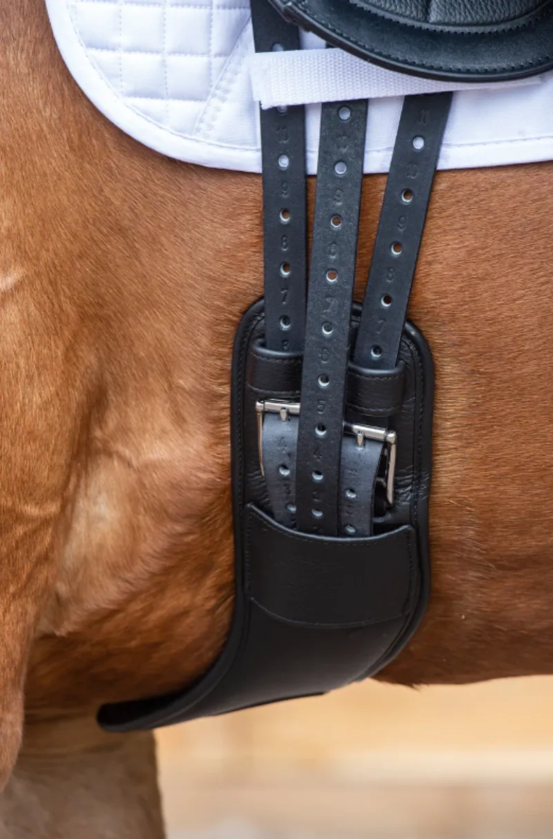 Kent and Masters - Short Girth - Brown